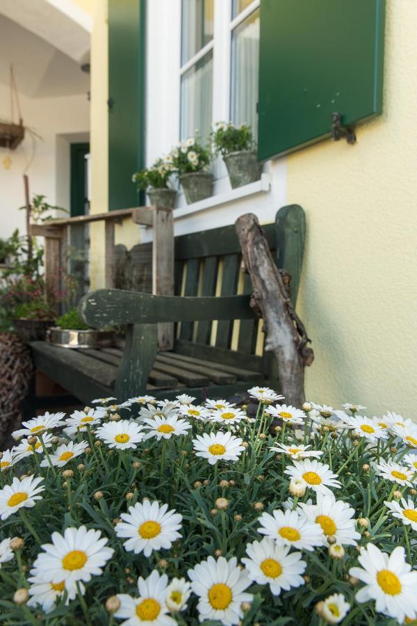 Ferienhof Lecheler Breitenthal Exteriör bild